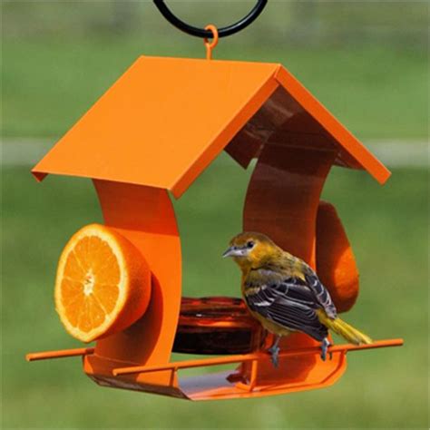 WoodLink Metal House Oriole Feeder 